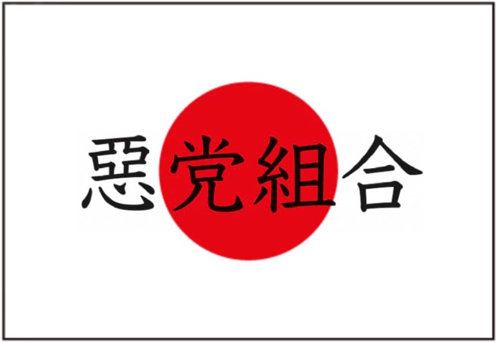 惡 党 組 合 Pull hoodie Stylish Cool Cute Streetstyle Brushedback Made in Japan Import Street Chinese characters - Image 8