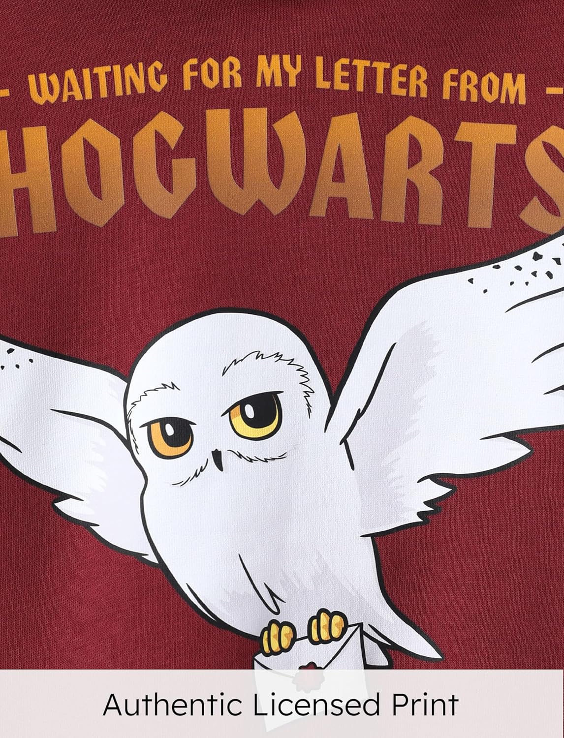 Harry Potter Hoodie for Kids Girls Boys Gryffindor Slytherin Ravenclaw Hufflepuff Pullover Hooded Sweatshirt Hogwarts Clothes - Image 3